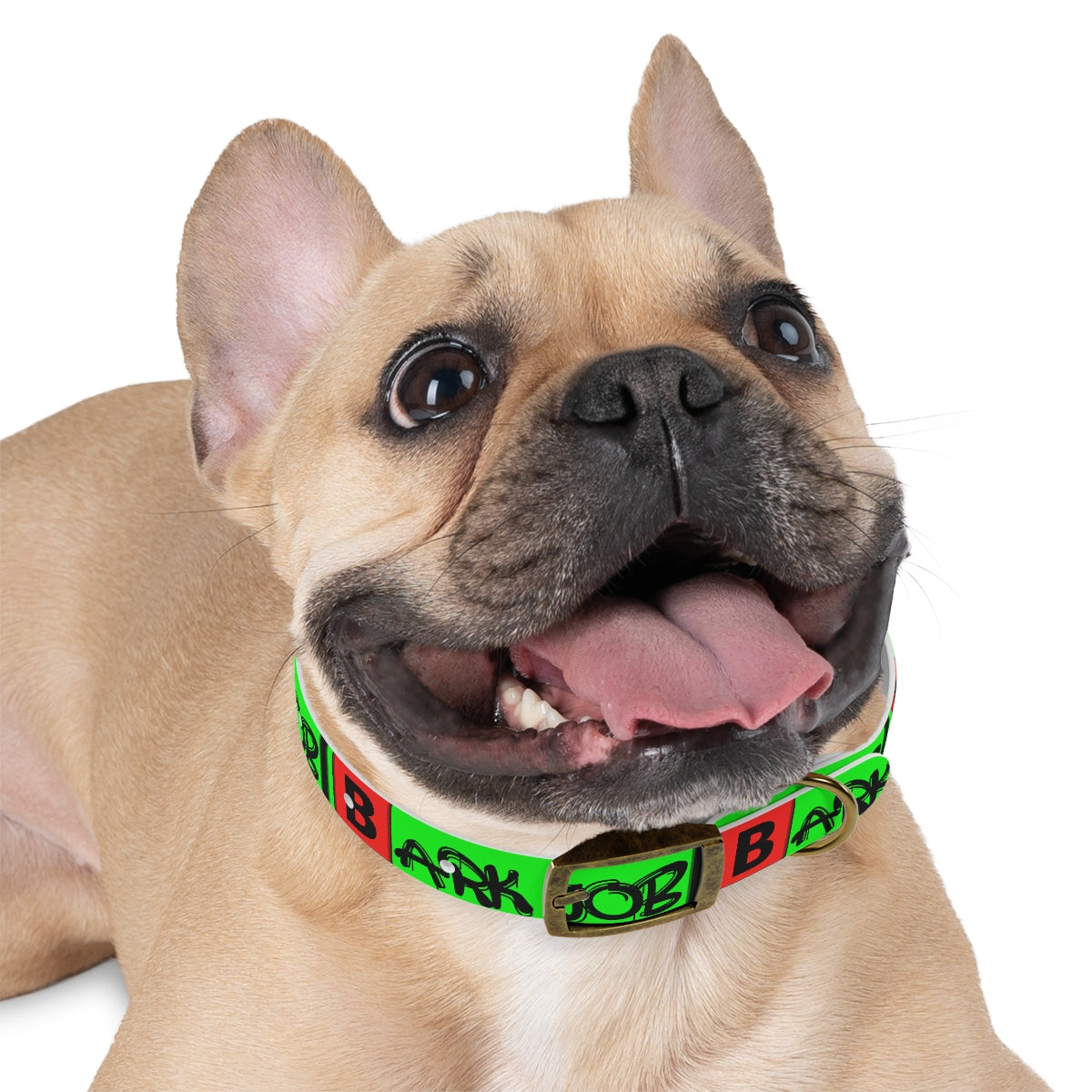 Barkjob Dog Collar